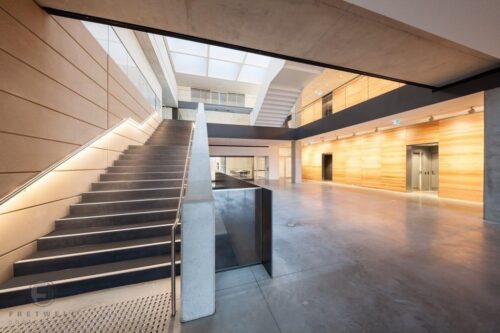 Modern museum stairs with LED handrail lighting.