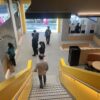 Lightrail_American_Oak_LED_handrail_sytstem_with_Blackline_BL118_McDonalds_town_hall_Melbourne (4)